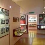 Boom di visitatori nel 2025 al Museo della Targa Florio di Collesano